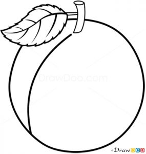 Abricot Coloriage Résultat De Recherche D Images Pour "coloriage Abricot"