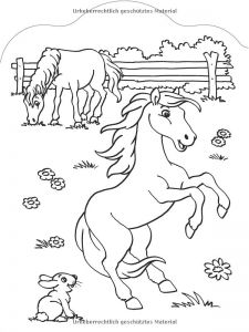 Coloriag De Cheval 58 Best Coloriage Chevaux Images On Pinterest