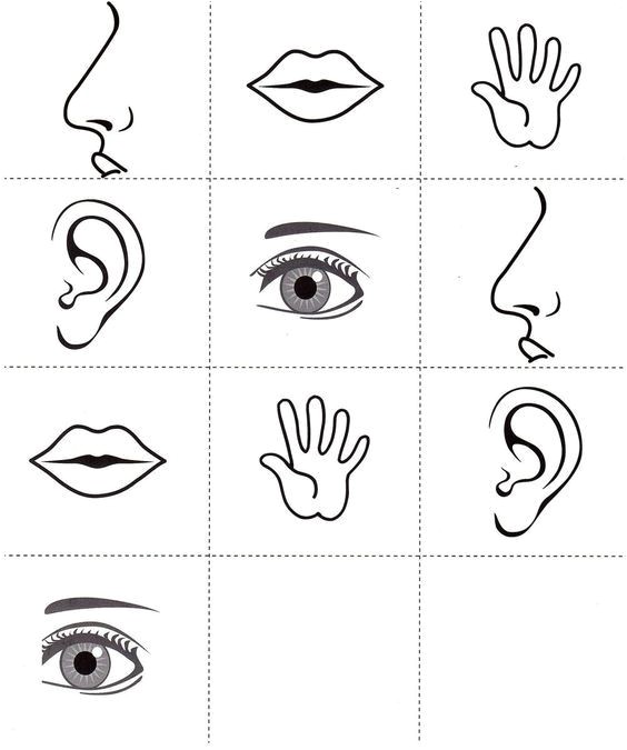 Coloriage 5 Sens 66 Best Les 5 Sens Images On Pinterest