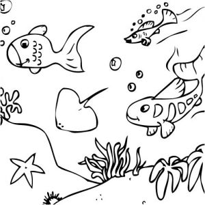 Coloriage A Colorier Sur L ordinateur Gratuit L Univers Marin En Coloriage En Ligne Ou Coloriage Imprimer
