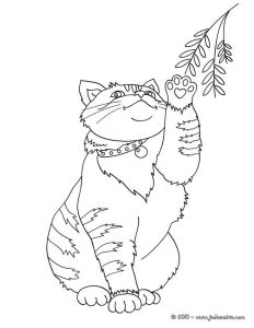 Coloriage A Colorier Sur La Tablette 49 Best Coloriages Animaux Domestiques Images On Pinterest