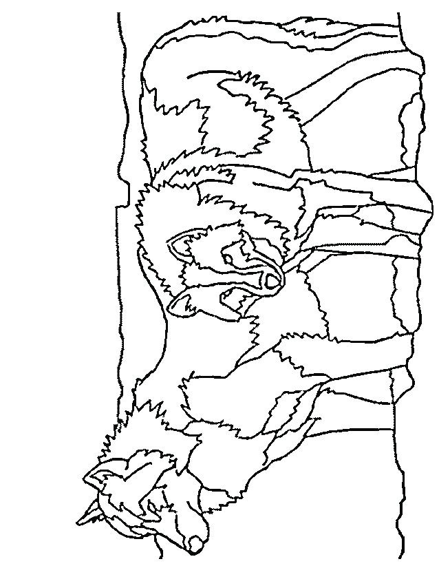 Coloriage A Faire soi Meme Coloriage Princesse Ariel Les Beaux Dessins De Disney A Imprimer