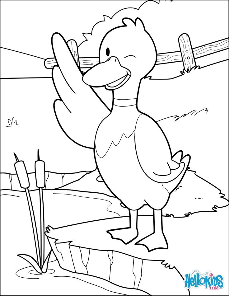 Coloriage à Faire Sur L ordinateur Gratuit 52 Best Coloriages Animaux De La Ferme Images On Pinterest