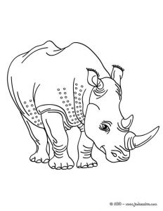 Coloriage à Imprimer Animaux Sauvages 84 Best Coloriages Animaux Sauvages Images On Pinterest
