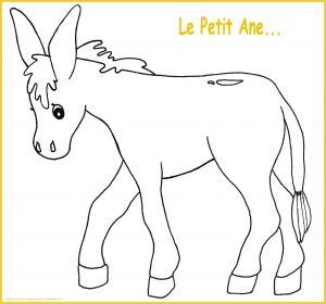 Coloriage à Imprimer Animaux Sauvages Beau Dessin Imprimer Animaux Mignons – Mademoiselleosaki