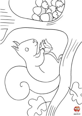 Coloriage Animaux De La forêt à Imprimer 38 Best Projet Animaux De La foret Maternelle Images On Pinterest Coloriage Animaux De La forêt à Imprimer 38 Best Projet Animaux De La foret Maternelle Images On Pinterest