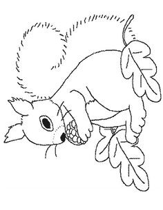 Coloriage Animaux De La forêt à Imprimer Free Coloring Pages Of Baby Birds In Nest Coloriage Animaux De La forêt à Imprimer Free Coloring Pages Of Baby Birds In Nest