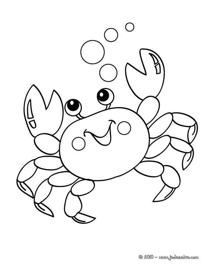 Coloriage Animeaux 68 Best Coloriages Animaux Marins Images On Pinterest