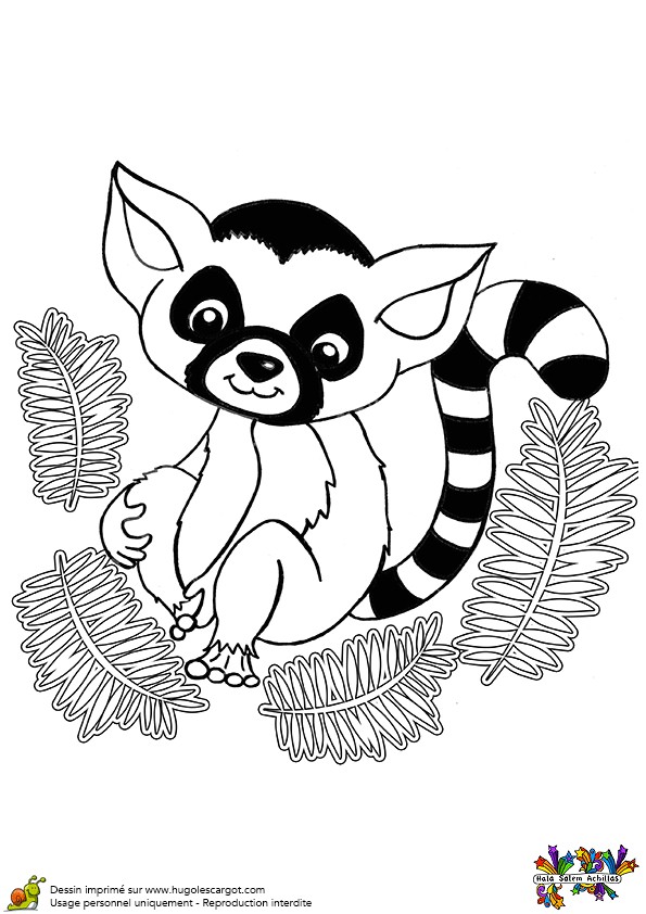 Coloriage Animeaux Coloriage D Un Mignon Bébé Lémurien â¥â¥deviant Artâ¥â¥