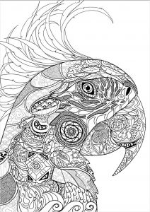 Coloriage Anti Stress Manga Nouveau Bestiaire Extraordinaire 100 Coloriages Anti Stress