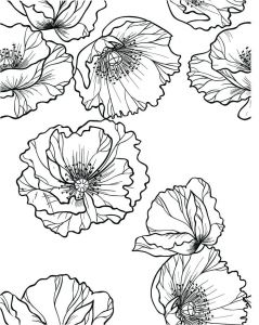 Coloriage Aquarelle Adulte 41 Best Coloriage Fleurs Et Plantes Flowers and Plant Colouring