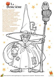 Coloriage Araignée Halloween 20 Best Projet sorci¨re Maternelle Images On Pinterest