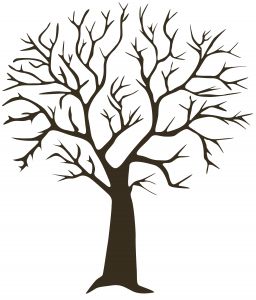 Coloriage Arbre Sans Feuille Arbre Empreintes