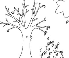 Coloriage Arbre Sans Feuille Arbre Sans Feuille Coloriage