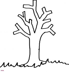 Coloriage Arbre Sans Feuille Coloriage Une Feuille Beau Concept Coloriage Automne Ramasser Les