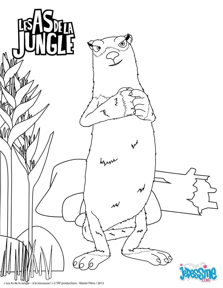 Coloriage as De La Jungle 14 Best Les as De La Jungle Images On Pinterest