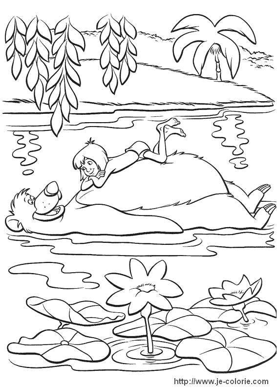 Coloriage as De La Jungle 24 Best Le Livre De La Jungle Images On Pinterest