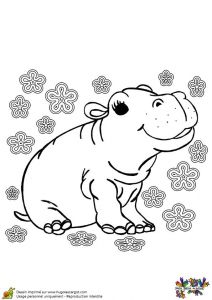 Coloriage Bapteme à Imprimer 77 Best Coloriages De Bébés Animaux Images On Pinterest