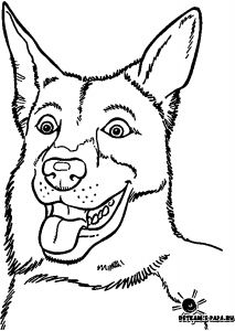 Coloriage Bébé Chien Coloriage Chien Loup A Imprimer L Meublerc