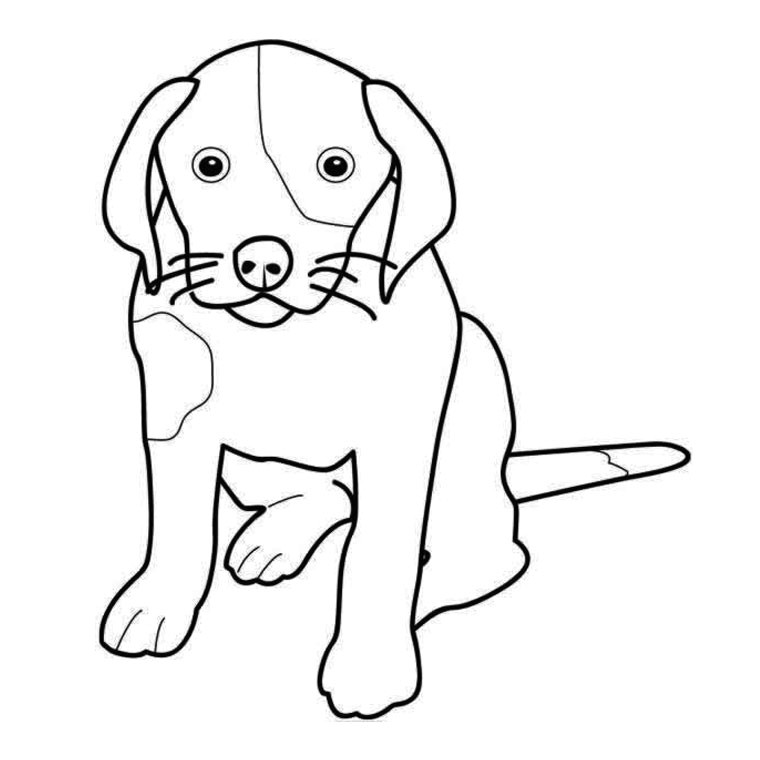 Coloriage Bouvier Bernois Bouvier Bernois A Colorier Et A Imprimer Coloriage Az Coloriage