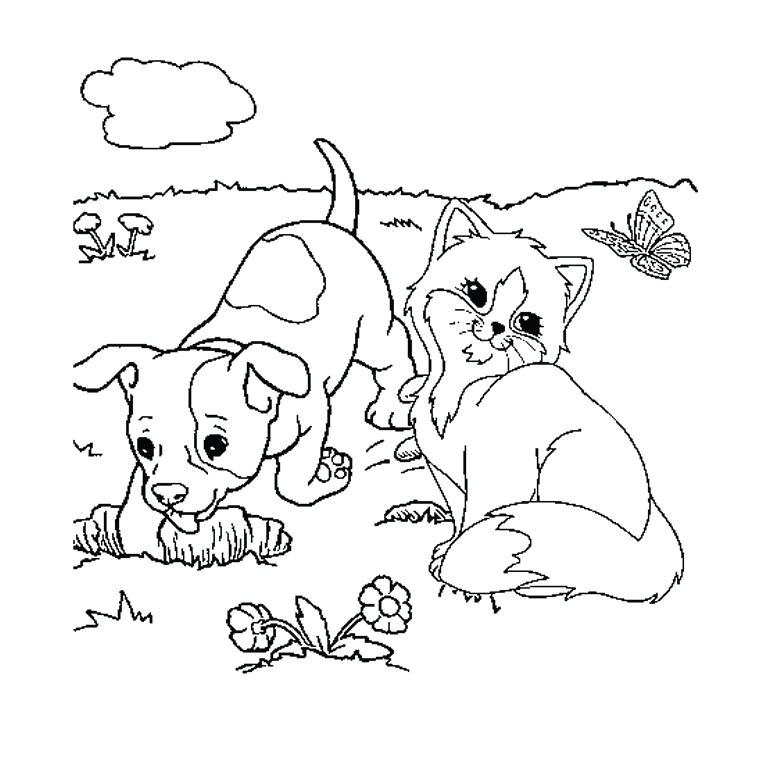 Coloriage Bouvier Bernois Coloriage Chiot Gratuit Imprimer Coloriage Bouvier Bernois A