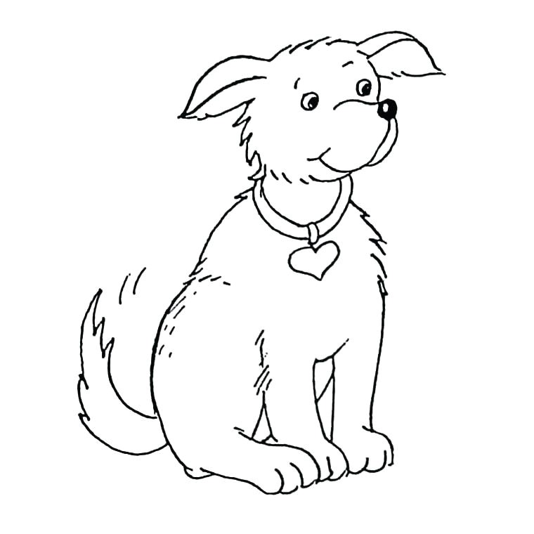 Coloriage Bouvier Bernois Dessin De Chien Facile Coloriage Bouvier Bernois Voir Le A Imprimer