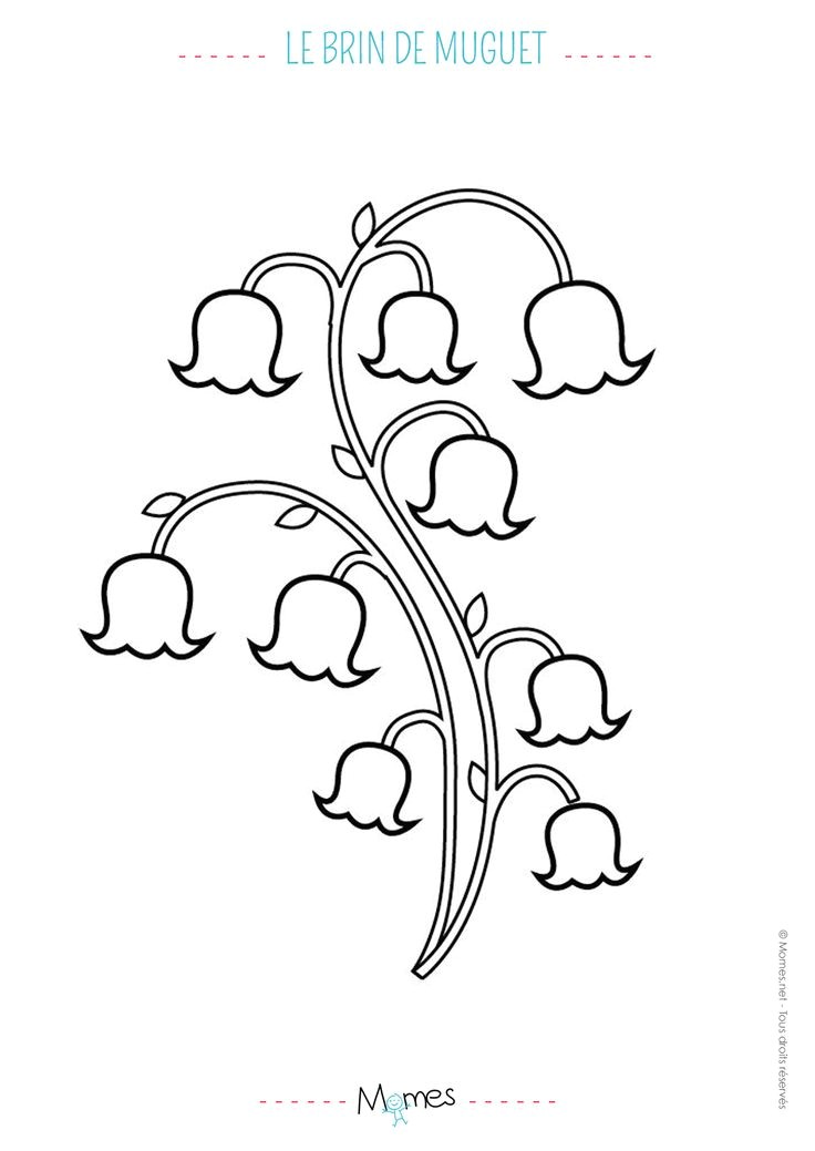 Coloriage Brin De Muguet A Imprimer 50 Best Printemps Activités Recettes Et Jeux Images On Pinterest