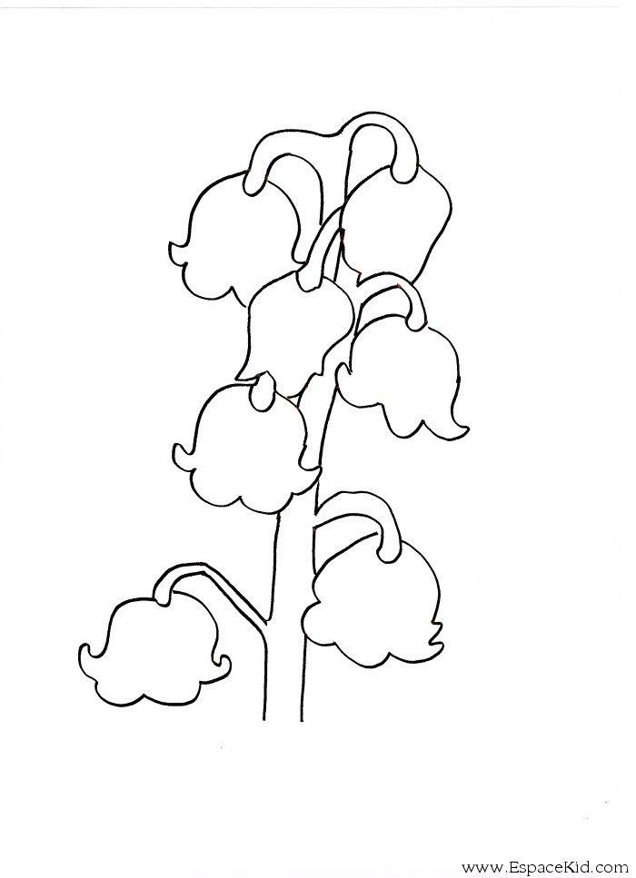 Coloriage Brin De Muguet A Imprimer Brin De Muguet Az Coloriage
