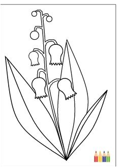 Coloriage Brin De Muguet A Imprimer Carte Dessin Brin De Muguet Pour Envoyer Par La Poste Sur Merci