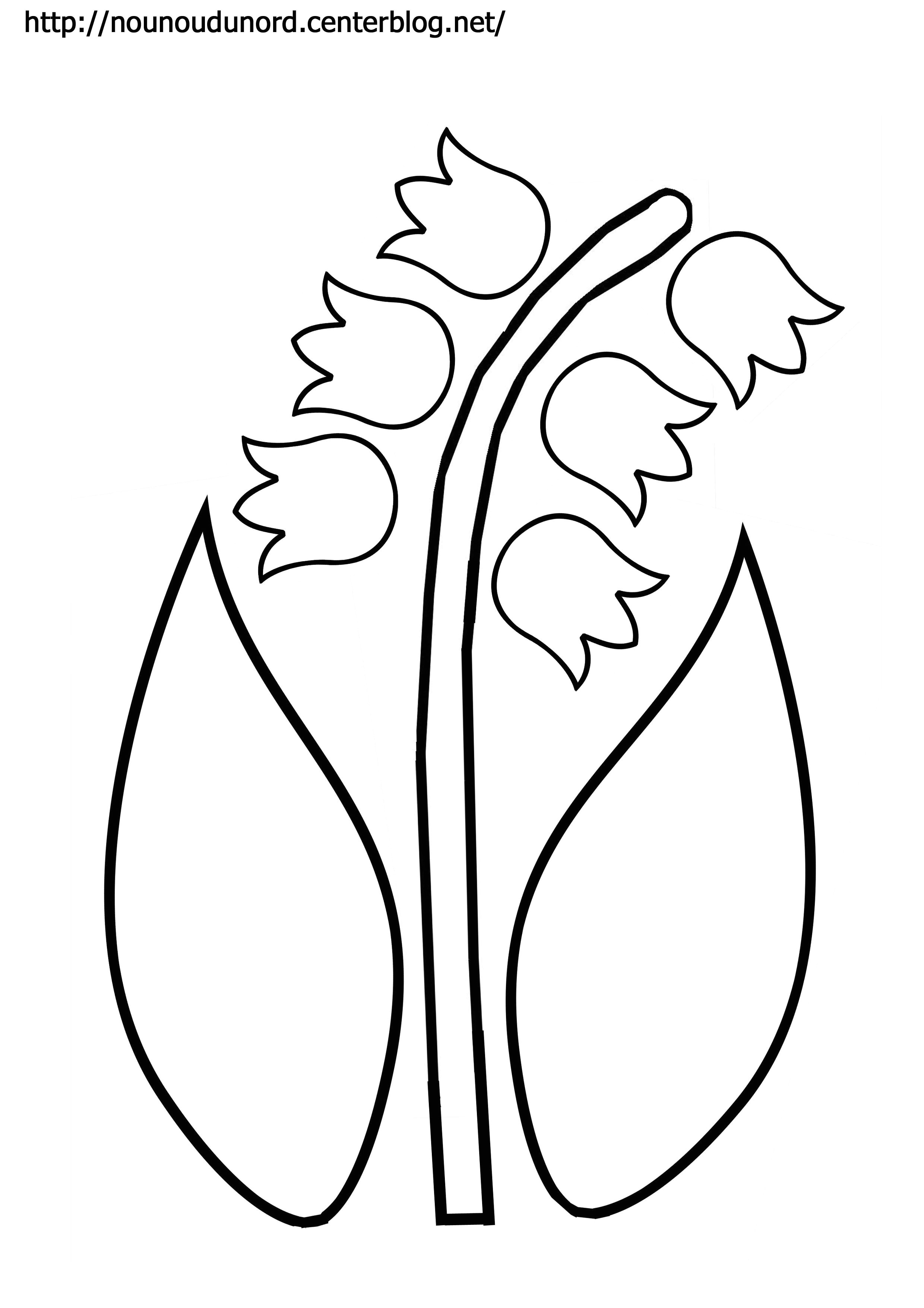 Coloriage Brin De Muguet A Imprimer Coloriage Muguet Disney Gratuit