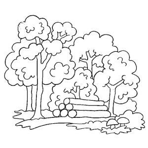 Coloriage Bucheron Coloriage Arbre Dautomne A Imprimer Gratuit Coloriage Bucheron