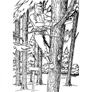 Coloriage Bucheron Coloriage B Cheron A Imprimer Gratuit