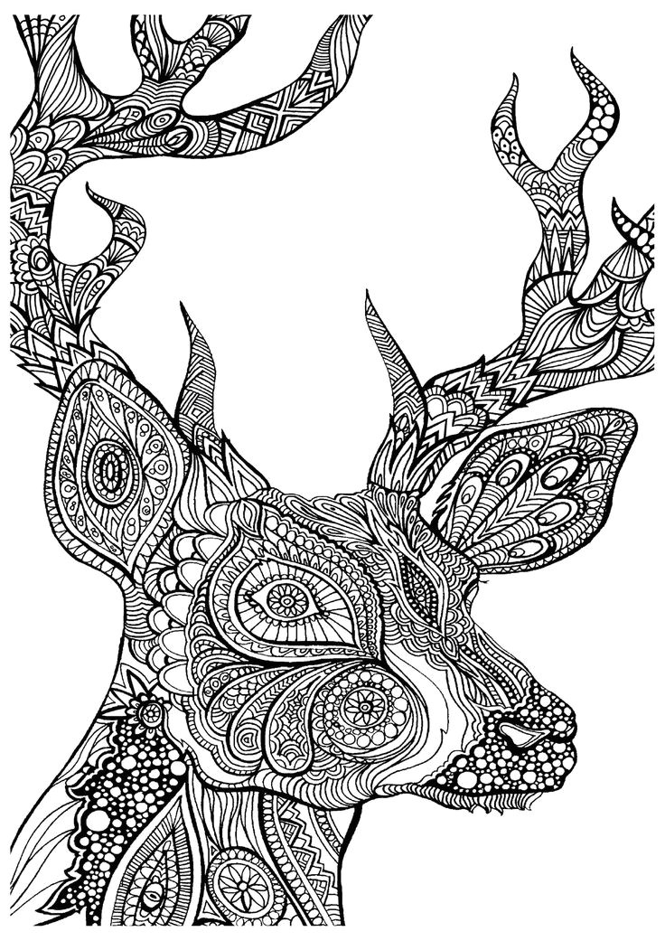 Coloriage Catéchisme 242 Best Adult Coloring Fun Images On Pinterest