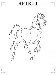 Coloriage Cavalière 898 Best Horse Lover Images On Pinterest