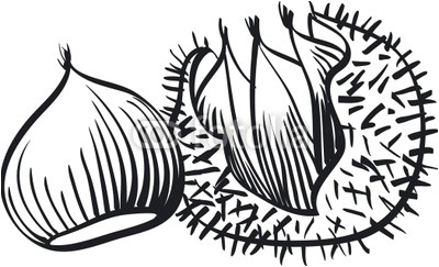 Coloriage Chataigne 20 Dessins De Coloriage Chataigne   Imprimer