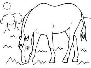 Coloriage Cheval Cabré 80 Best Coloriage Pour Lily Rose Images On Pinterest