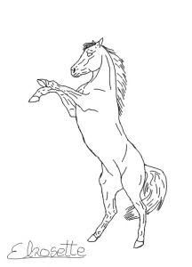 Coloriage Cheval Qui Se Cabre Coloriage A Imprimer Cheval Qui Saute Meilleures Idées Coloriage