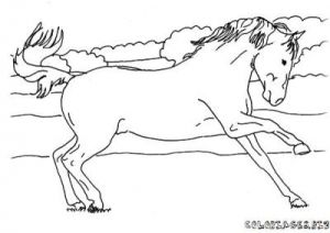 Coloriage Cheval Qui Se Cabre Coloriage De Cheval Qui Se Cabre