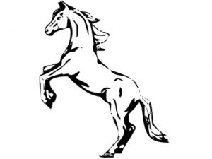 Coloriage Cheval Qui Se Cabre Coloriage De Cheval Qui Se Cabre