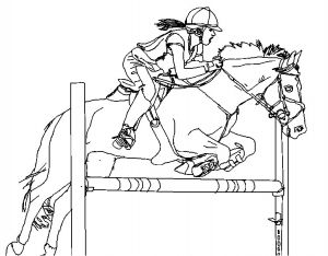 Coloriage Cheval Saut D Obstacle Coloriage Adulte Chevaux Saut D Obstacle 9