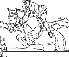 Coloriage Cheval Saut D Obstacle Coloriage De Cheval Qui Saute