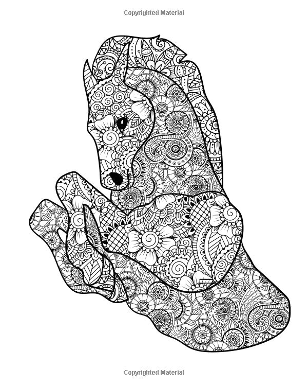 Coloriage Coca 58 Best Coloriage Chevaux Images On Pinterest