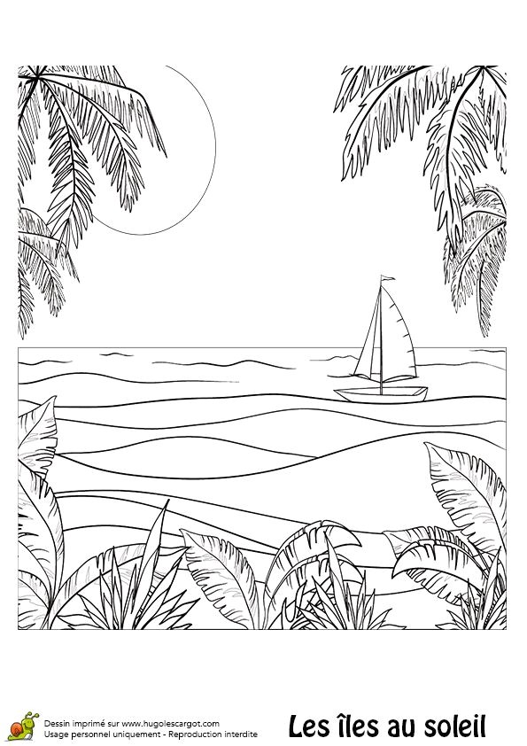 Coloriage Cocotier 143 Best Coloriages Vacances D été Images On Pinterest
