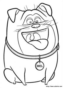 Coloriage Comme Des Betes 39 Best Coloriage Me Des Bªtes Images On Pinterest