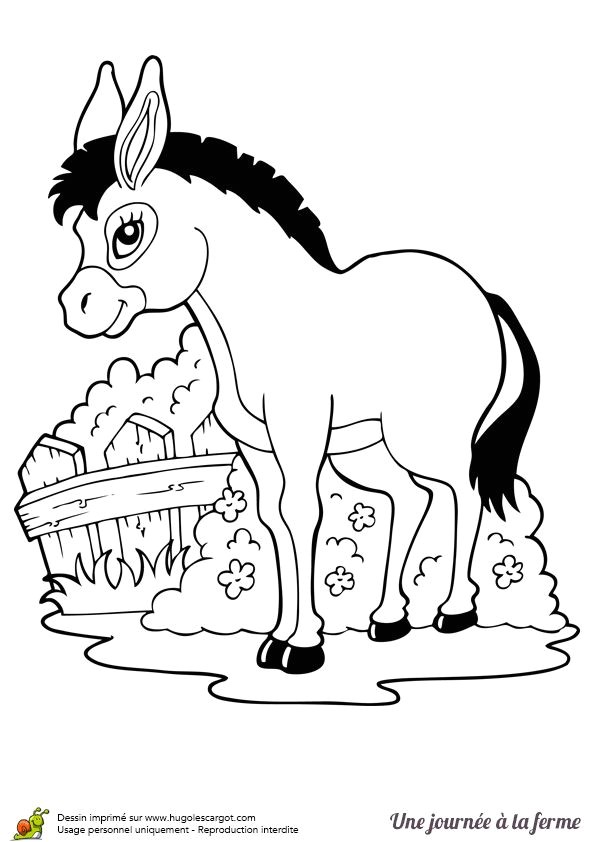 Coloriage D Ane 274 Best Coloriages Animaux De La Ferme Images On Pinterest