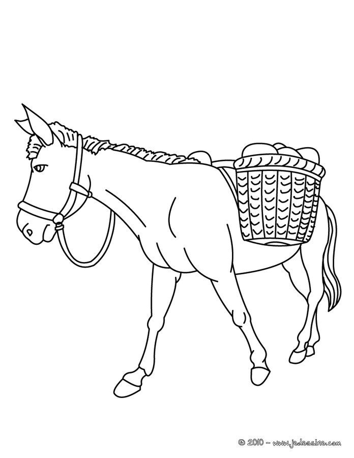 Coloriage D Ane 52 Best Coloriages Animaux De La Ferme Images On Pinterest