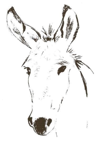 Coloriage D Ane Afficher L Image D origine ¢nes Pinterest