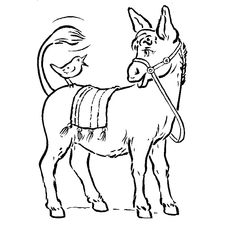 Coloriage D Ane Coloriages Animaux De La Ferme Dessin Colorier Animaux De La Ferme