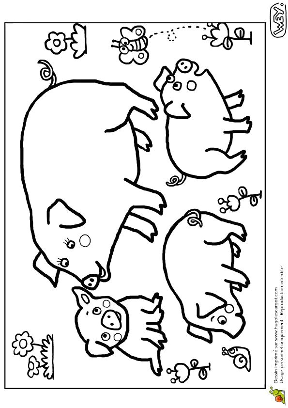 Coloriage D Animaux à Imprimer Gratuit 77 Best Coloriages De Bébés Animaux Images On Pinterest