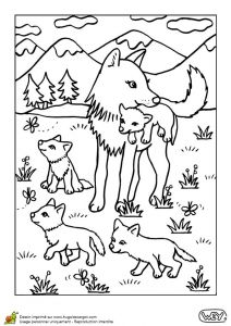 Coloriage D Animaux à Imprimer Gratuit 77 Best Coloriages De Bébés Animaux Images On Pinterest
